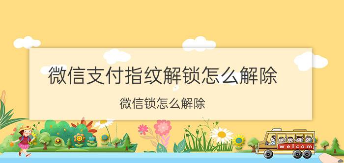 微信支付指纹解锁怎么解除 微信锁怎么解除？